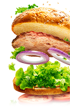 Hamburger with lettuce, onions, and patty