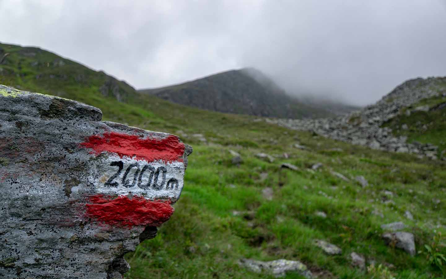 Milestone marker on a scenic outdoor trail, symbolic of how milestones can help you void change fatigue